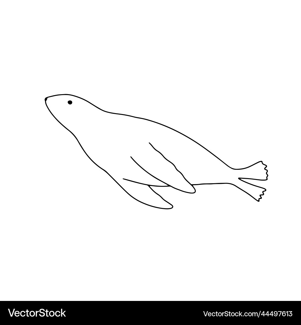 Marine animal seal outline Royalty Free Vector Image