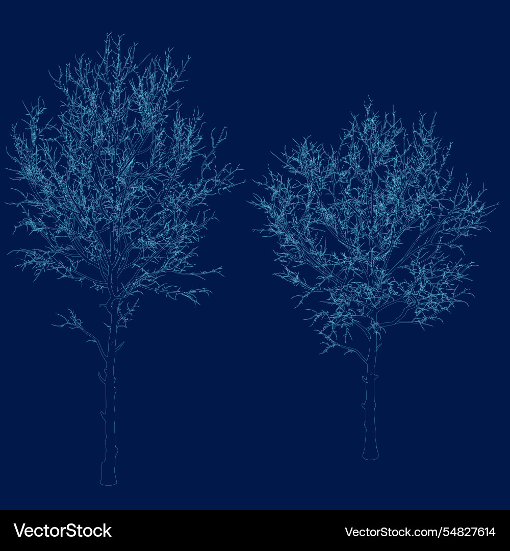 Minimal style cad tree line drawing in stroke Minimal style cad tree line drawing in stroke vector image