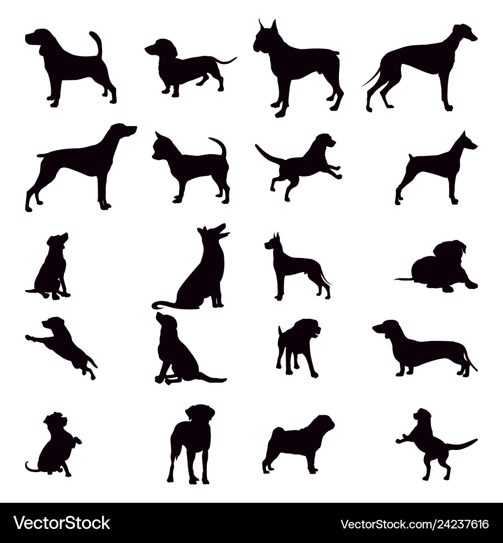 Dog Silhouettes - Diverse Breed Set vector image
