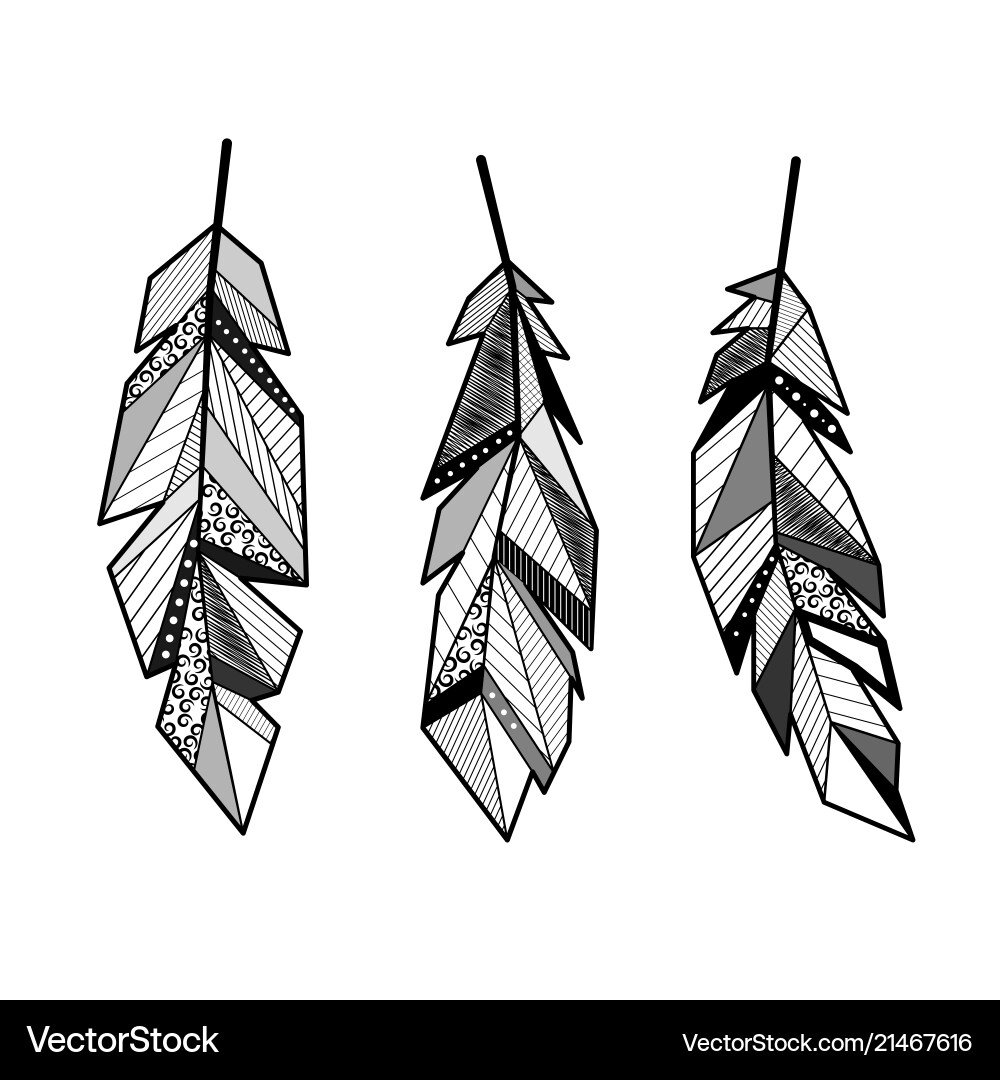 Feathers lines set Feathers lines set vector image