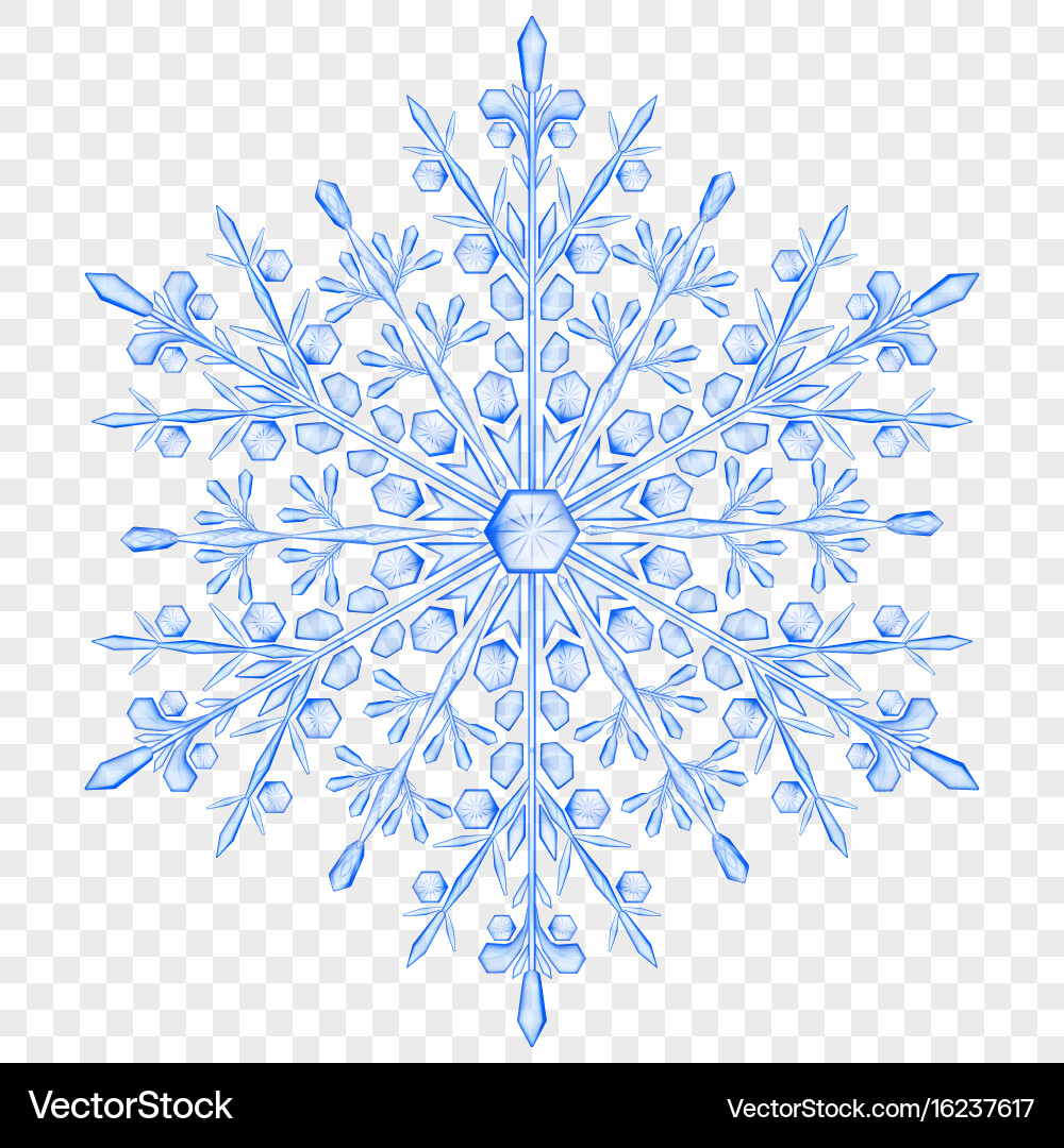 Big translucent christmas snowflake Vector Image