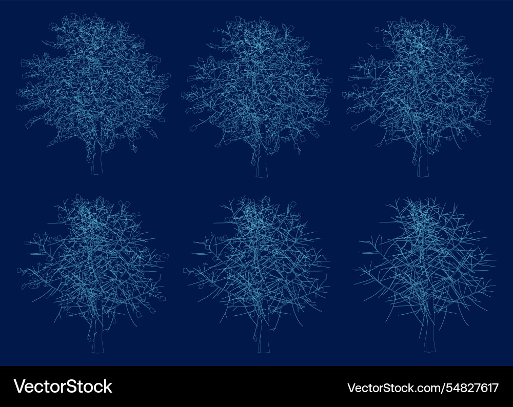 Set abstract blue contour tree shape background Set abstract blue contour tree shape background vector image