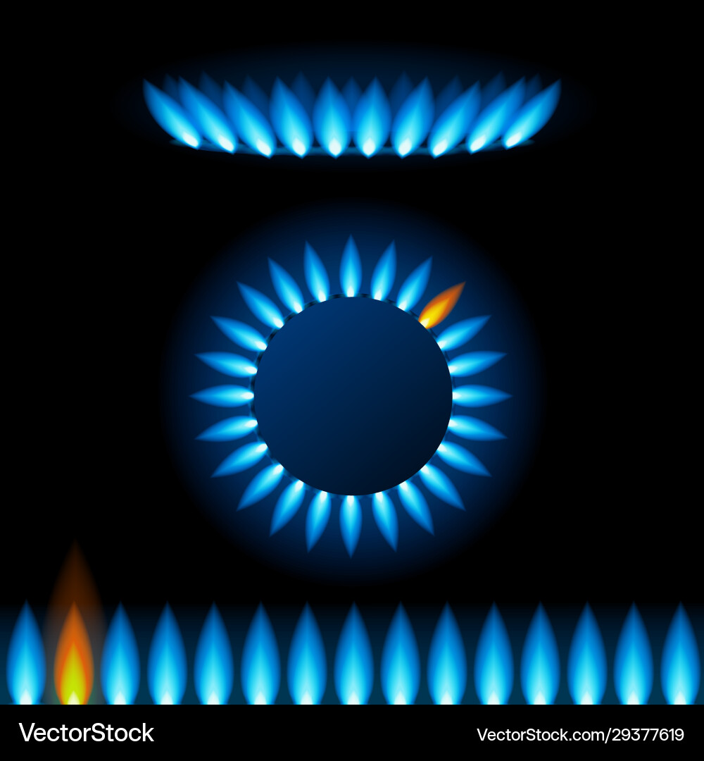 Realistic detailed 3d natural gas flame kitchen Realistic detailed 3d natural gas flame kitchen vector image
