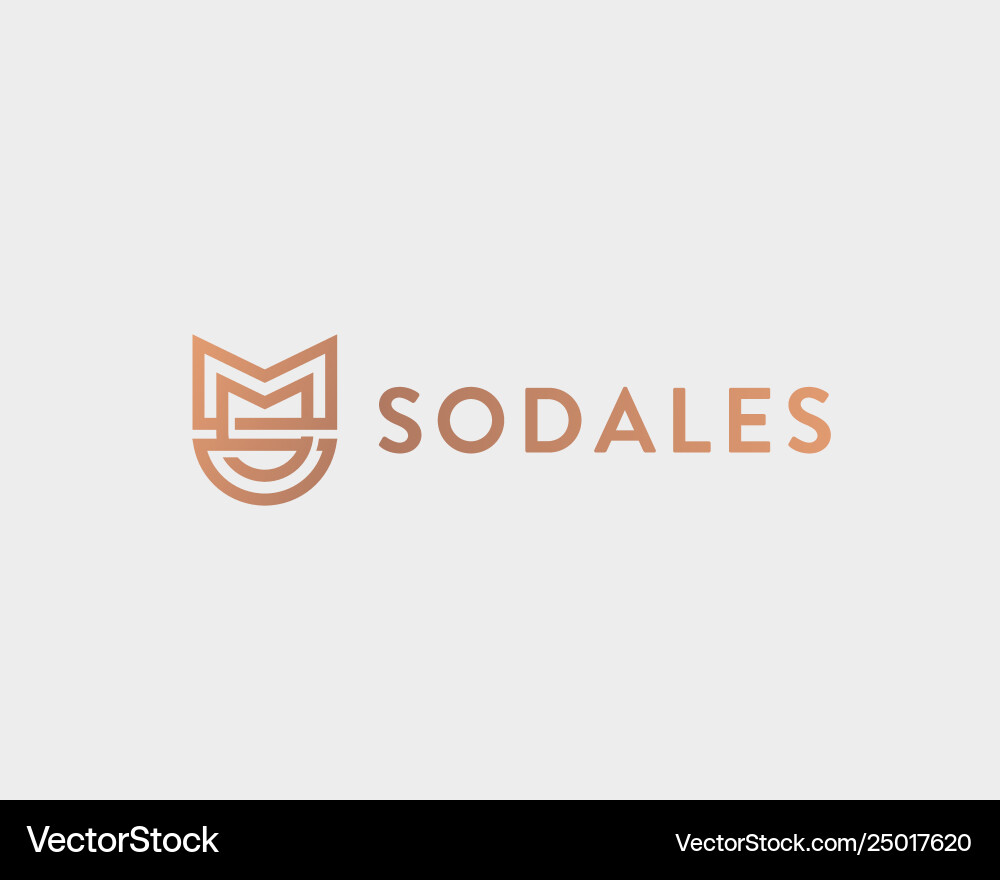 Abstract flower logo icon design elegant Abstract flower logo icon design elegant vector image