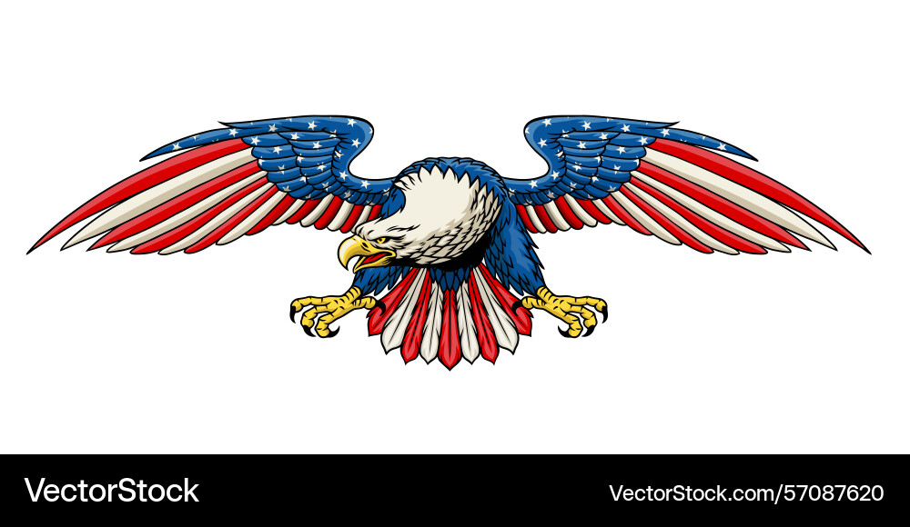 Hand drawn of eagle with american color flag Hand drawn of eagle with american color flag Vector Image