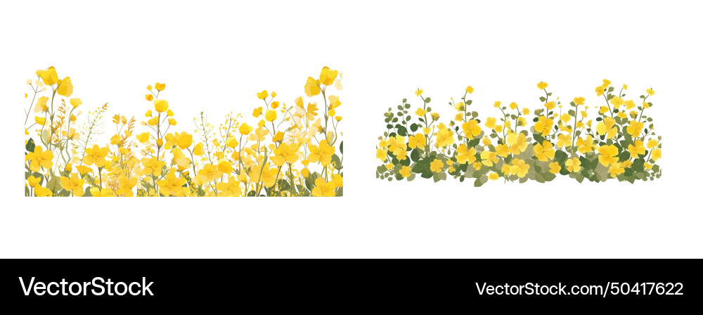 Horizontal botanical backdrop with border Horizontal botanical backdrop with border vector image
