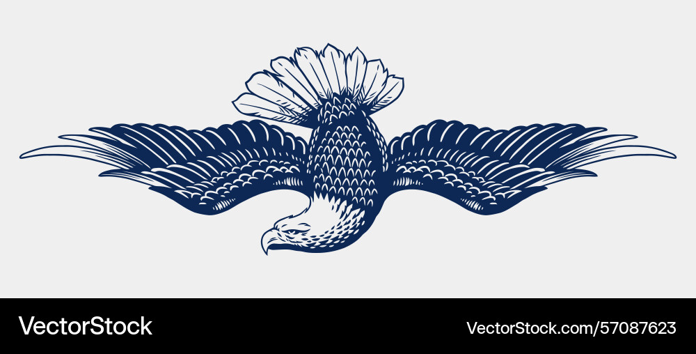 Fierce american eagle Royalty Free Vector Image
