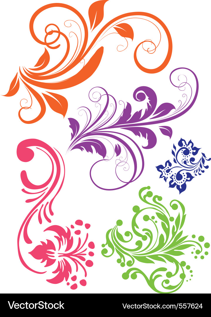 Floral Swirls Decorative Elements vector image