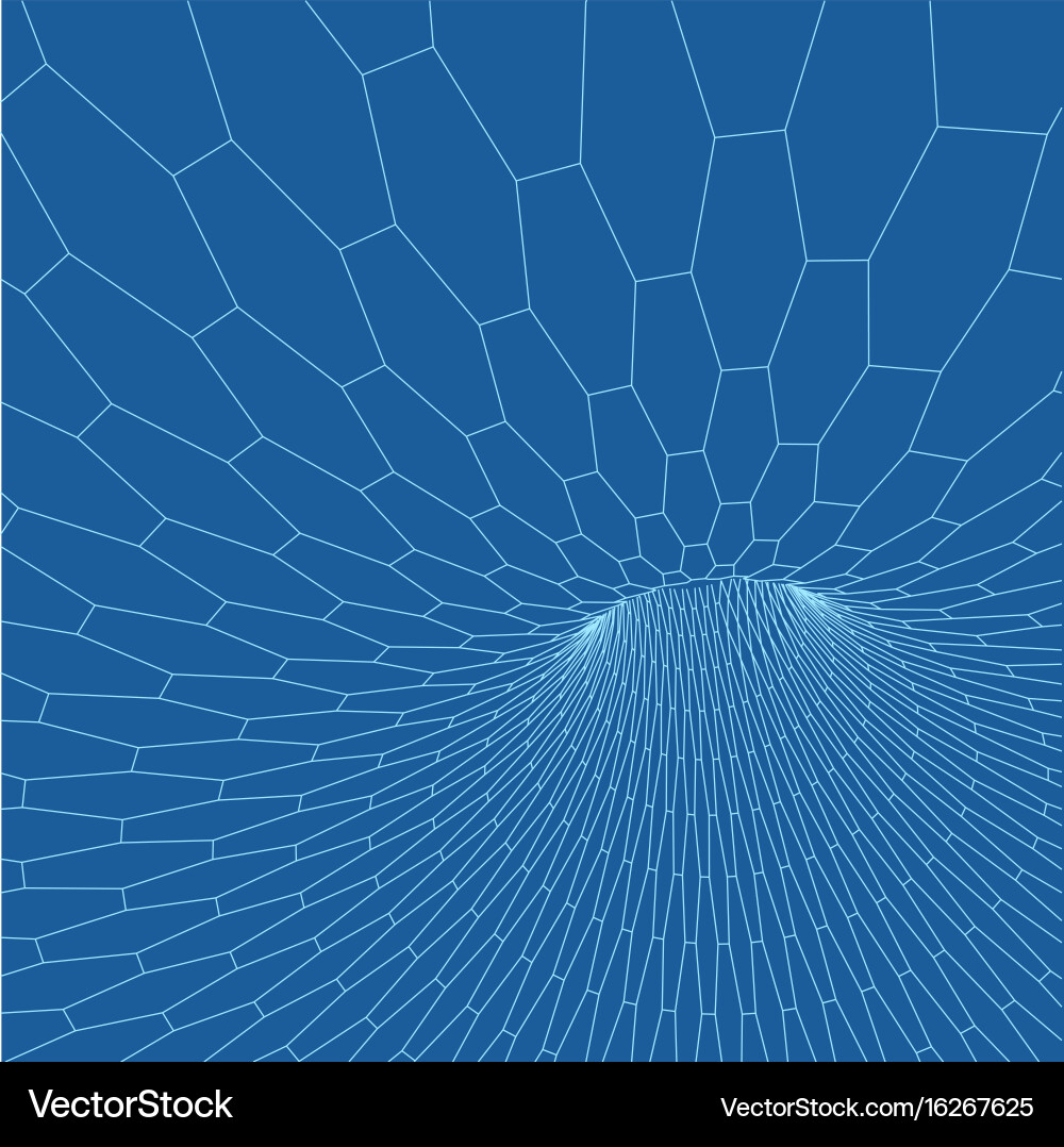 Wireframe Torus Mesh vector image