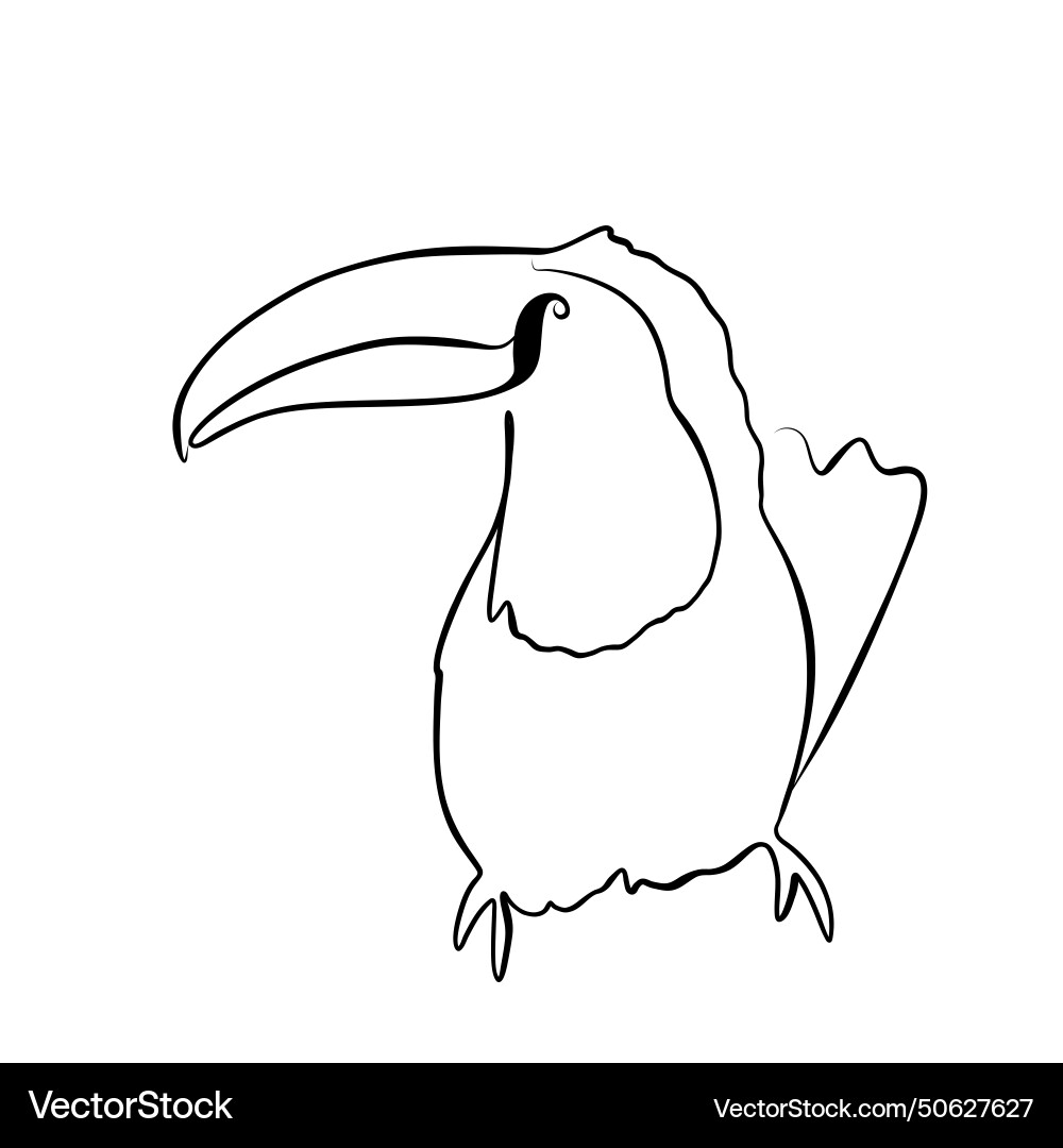 Continuous drawing of lines line art toucan Continuous drawing of lines line art toucan Vector Image