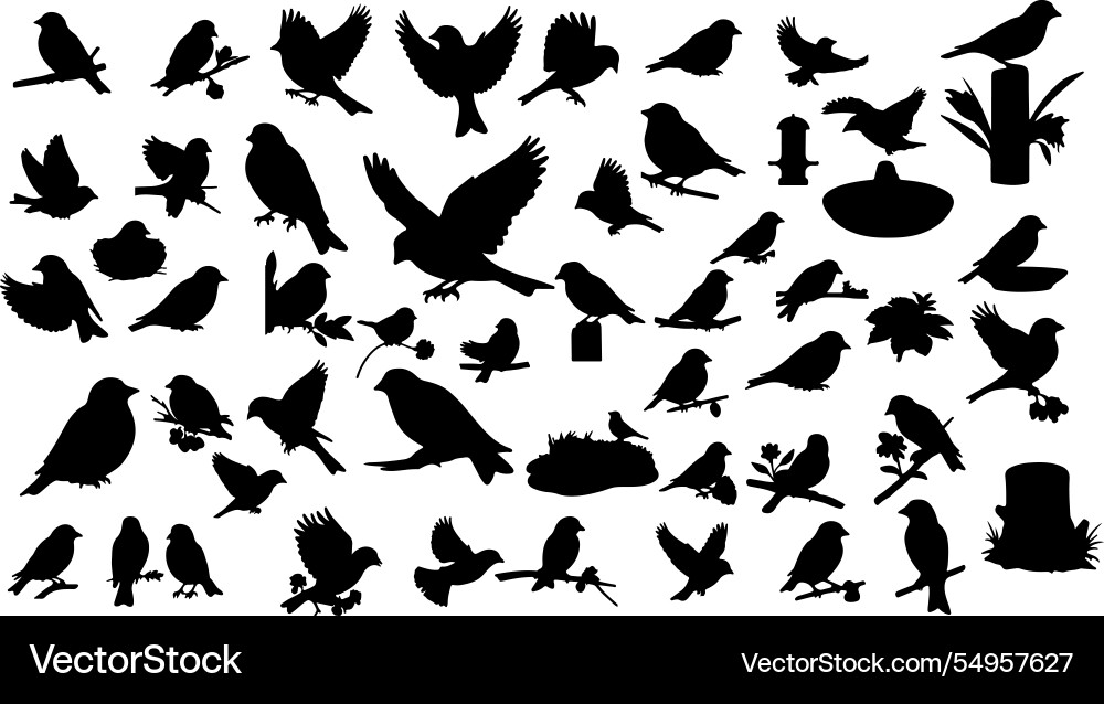 Radiant goldfinch silhouette design collect Radiant goldfinch silhouette design collect Vector Image