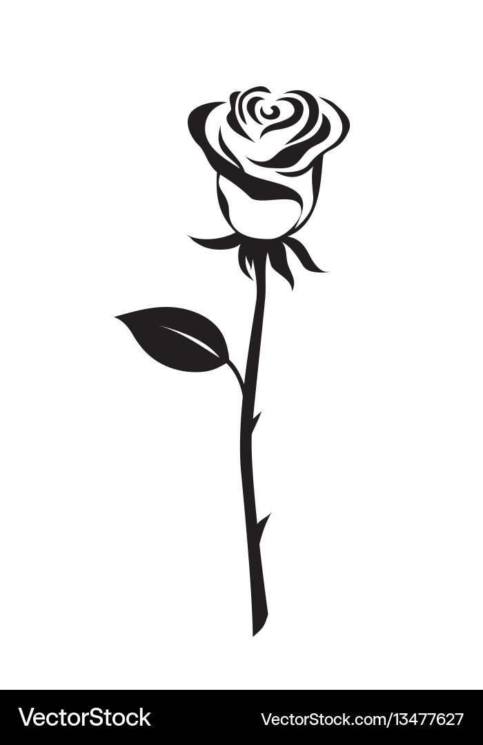 Rose flower icon Rose flower icon vector image