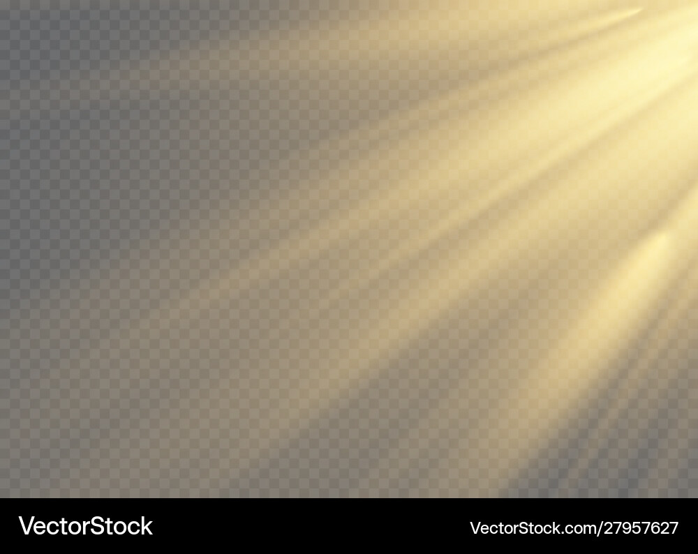 White glowing light explodes on a transparent White glowing light explodes on a transparent vector image