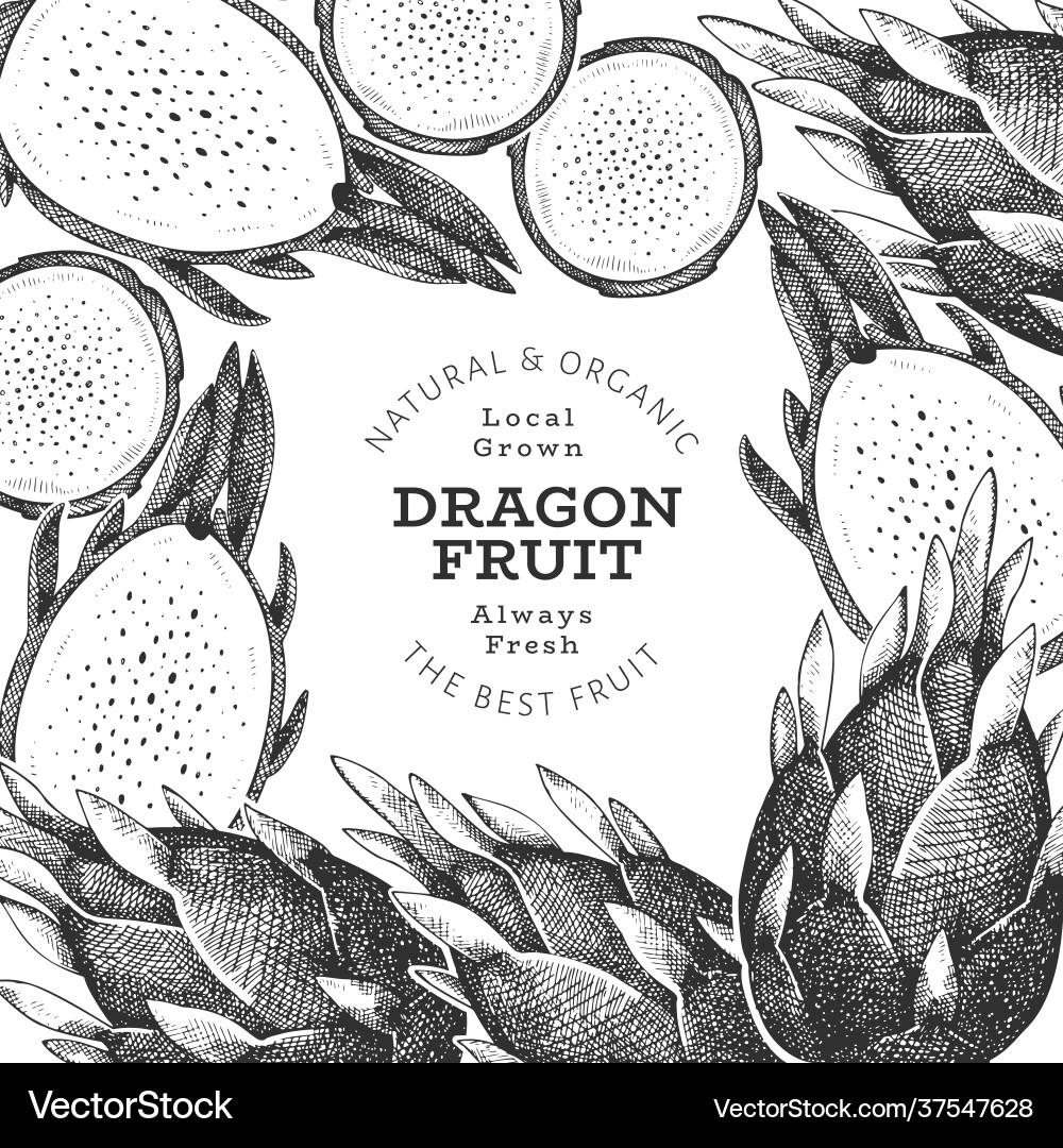 Hand drawn dragon fruit design template organic Hand drawn dragon fruit design template organic vector image