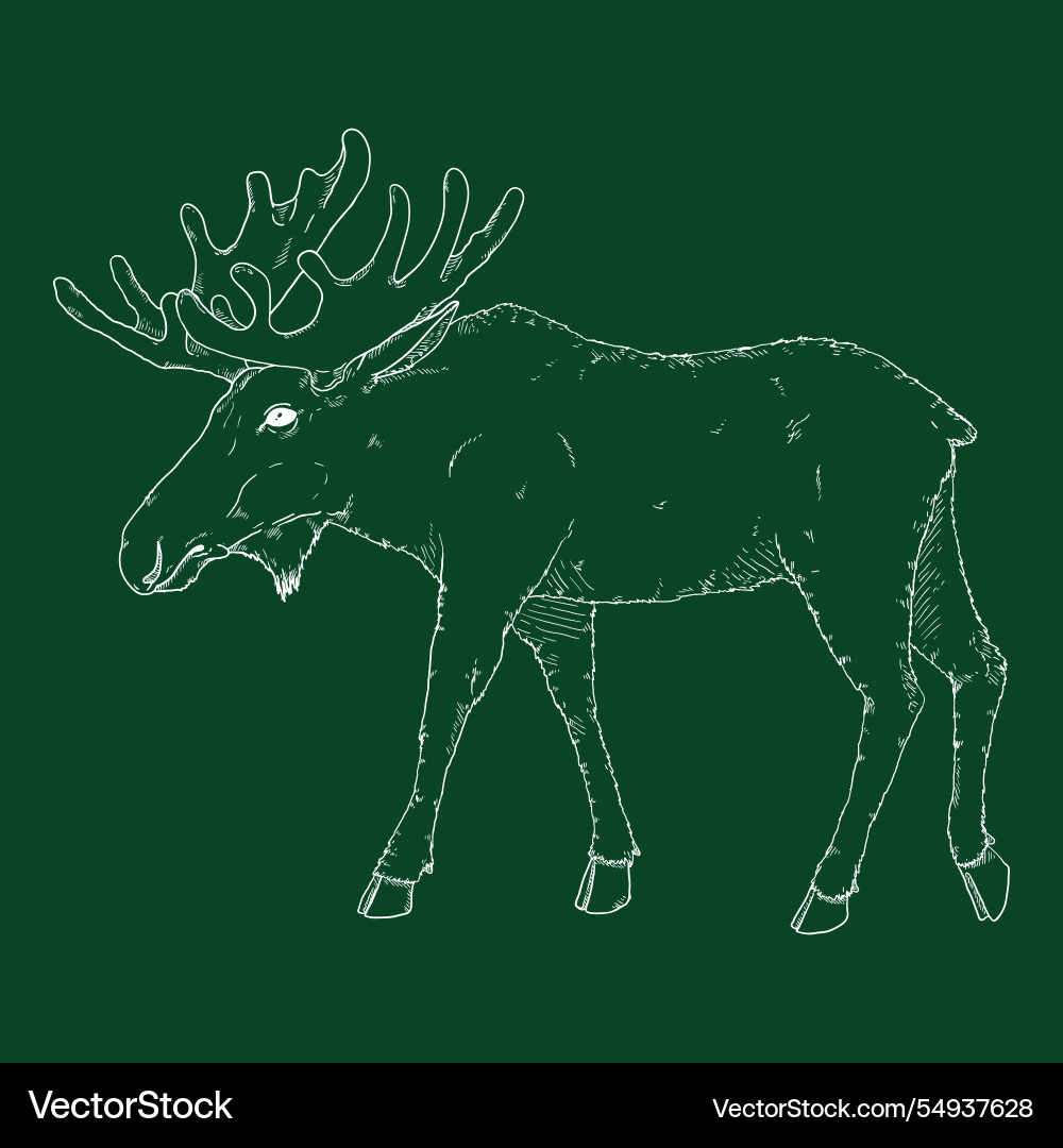 Sketch moose side view Sketch moose side view vector image