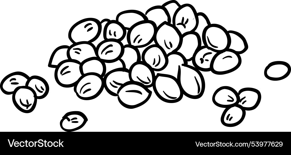 Coriander Samen isolierte Umriss Coriander Samen isolierte Umriss vektorbild