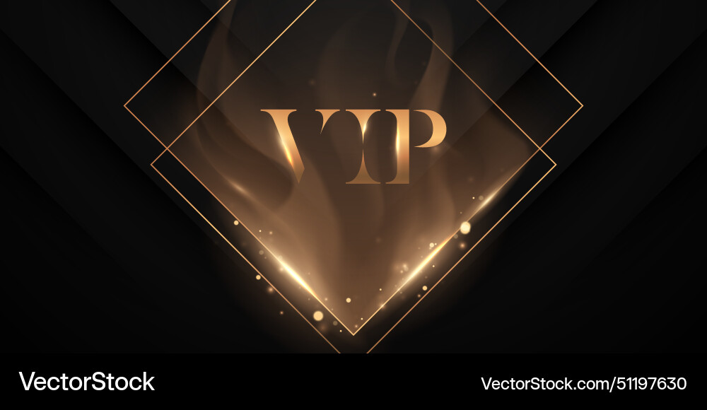 Luxury design vip background Royalty Free Vector Image