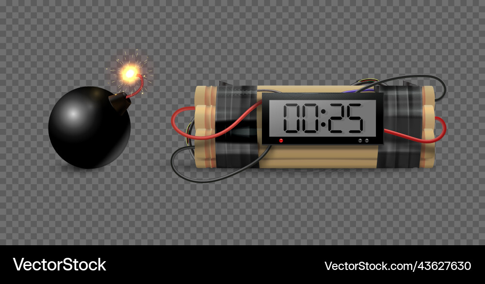 Realistic Bomb Set with Timer Vector Image
