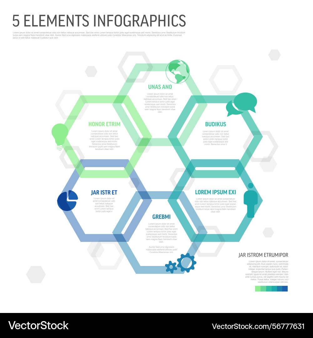 Abstract 5 elements hexagonal infographic design Abstract 5 elements hexagonal infographic design vector image