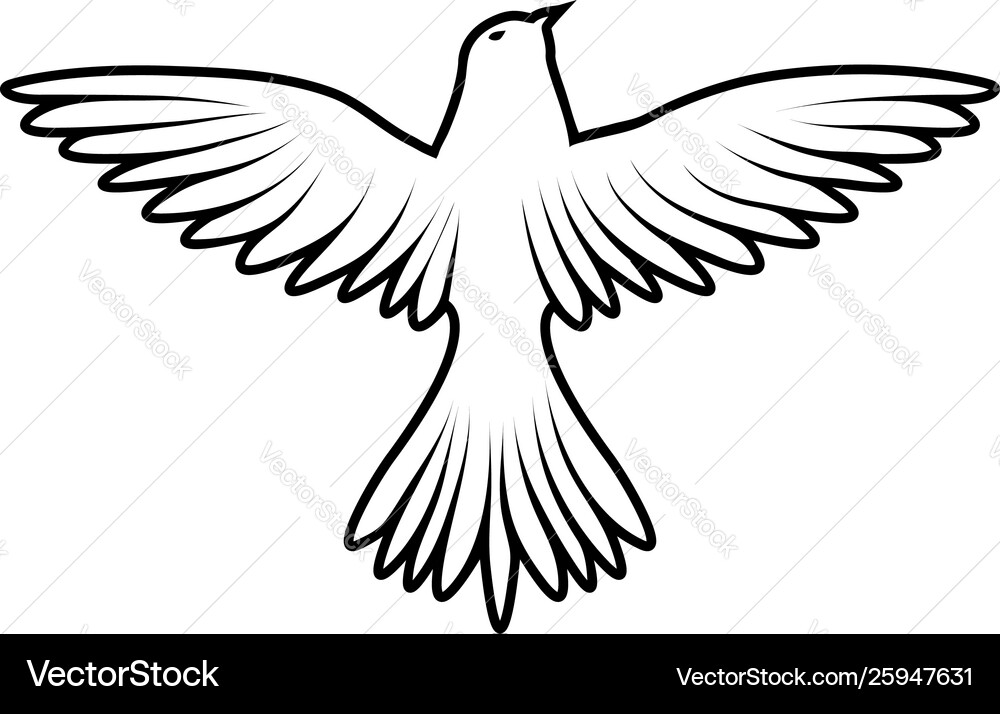 Sketch bird Sketch bird vector image