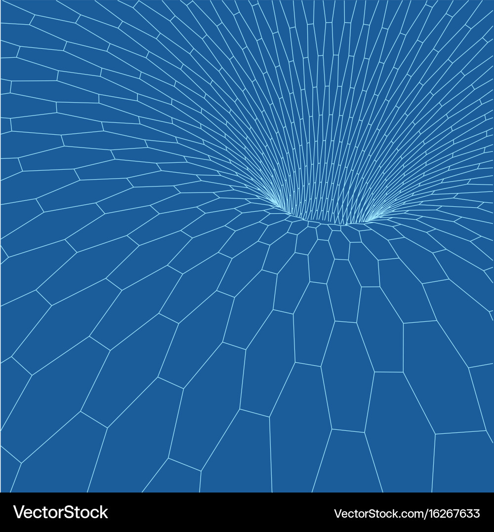 Wireframe Torus Mesh vector image