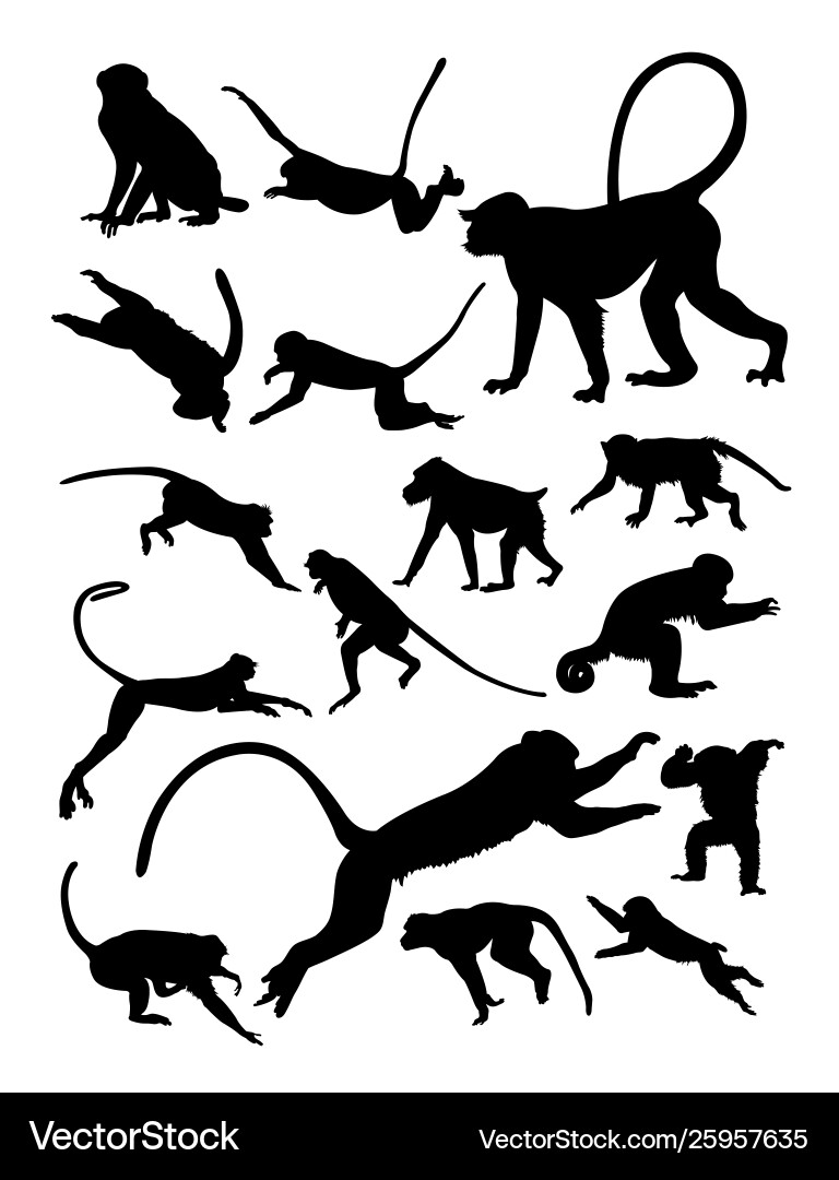 Monkey Silhouette - Wildlife Art Vector Image
