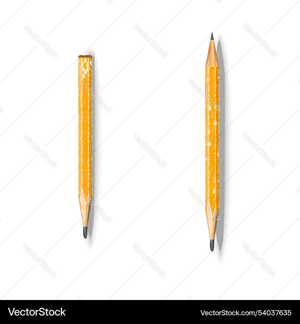 Pencils with sharpened tips and traces of use Pencils with sharpened tips and traces of use vector image