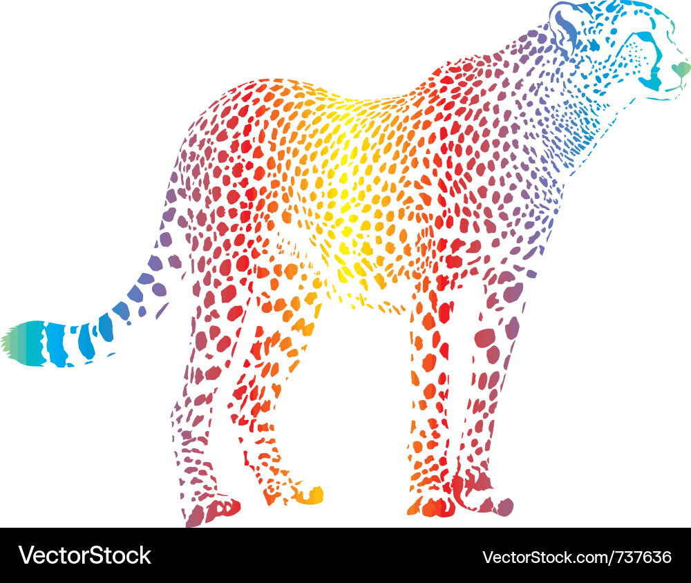 Rainbow Cheetah Camouflage vector image