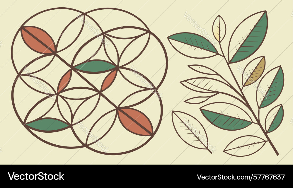 Abstract circular pattern elegant geometric vector image