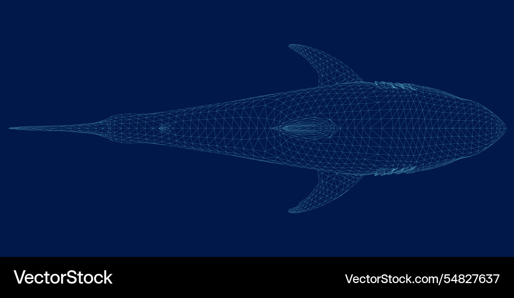 Wireframe abstract shark form lines and triangles Vector Image