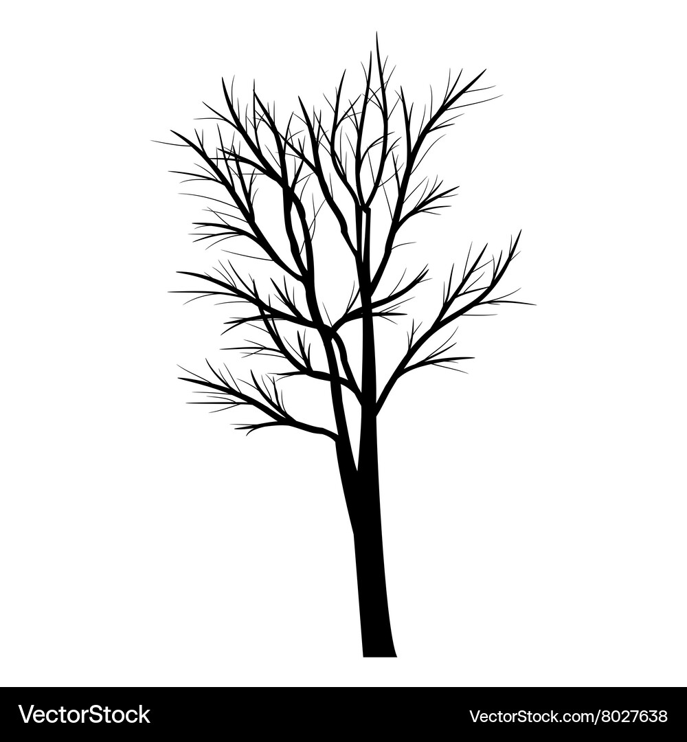Trees with dead branches Vector Image