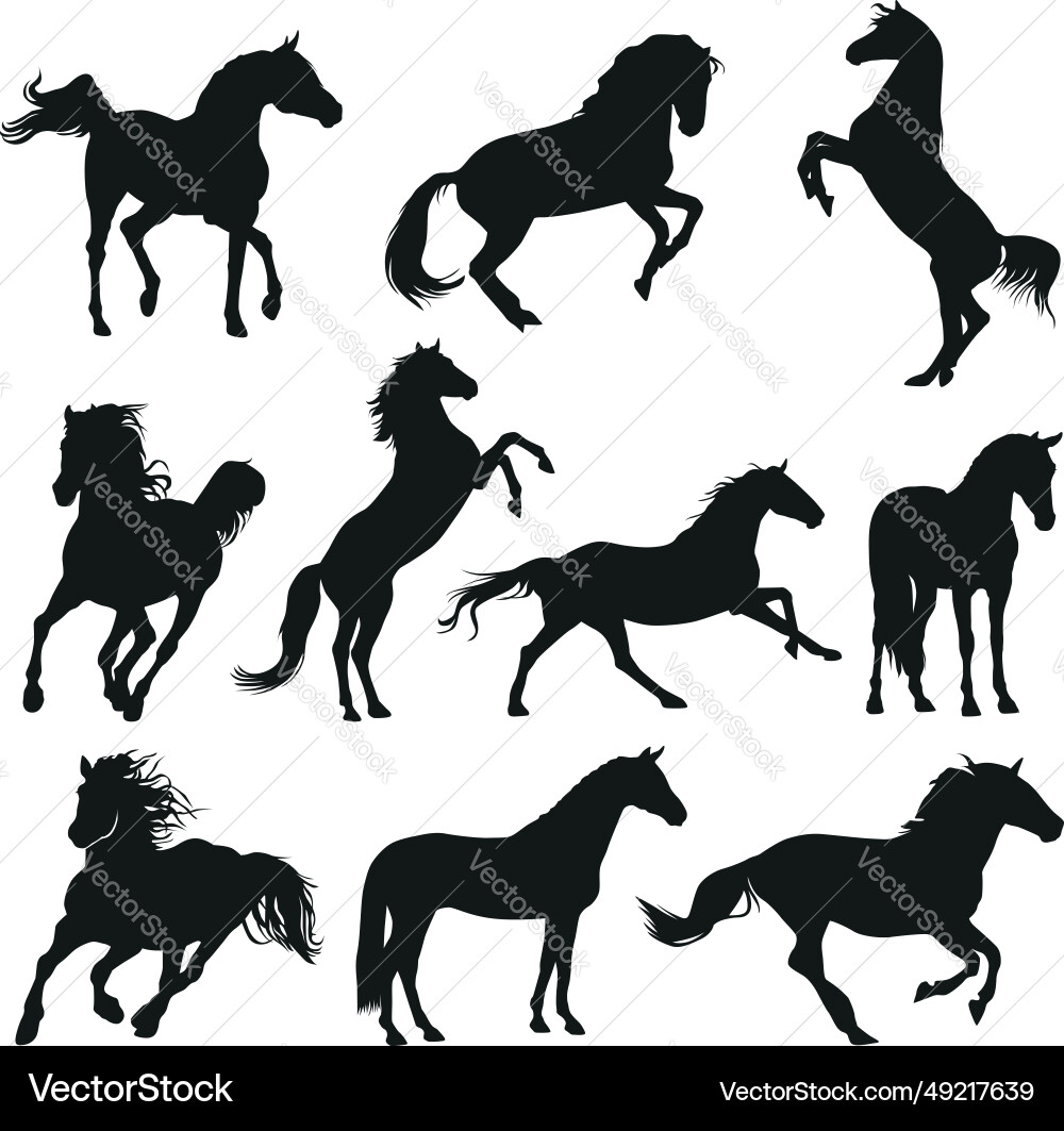 Horse Silhouettes Collection vector image