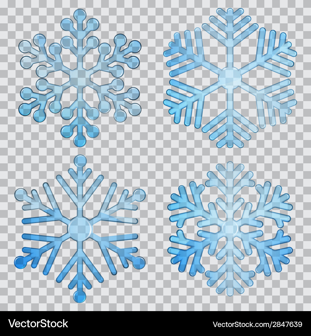 Transparent Snowflake Set vector image
