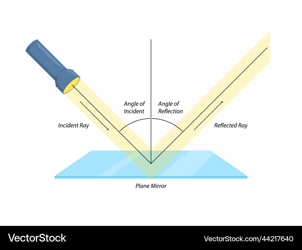 Reflection of light from plane mirror for science vector image