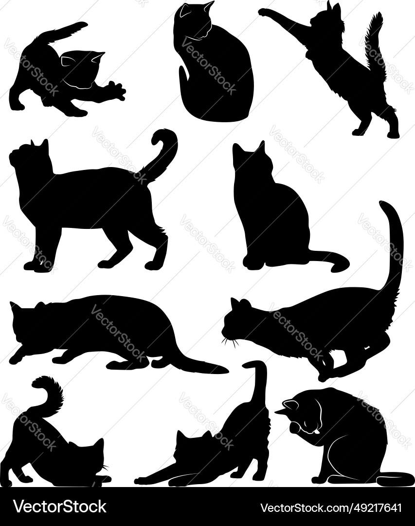 Cat Silhouettes - Halloween Theme vector image