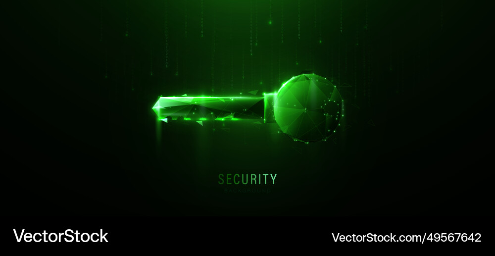 Digital private key cyber security privacy data Digital private key cyber security privacy data vector image