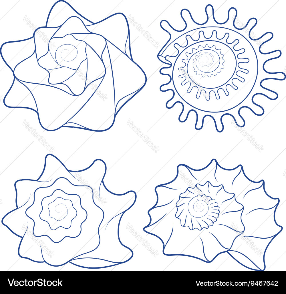 Set of seashells isolated objects vector image