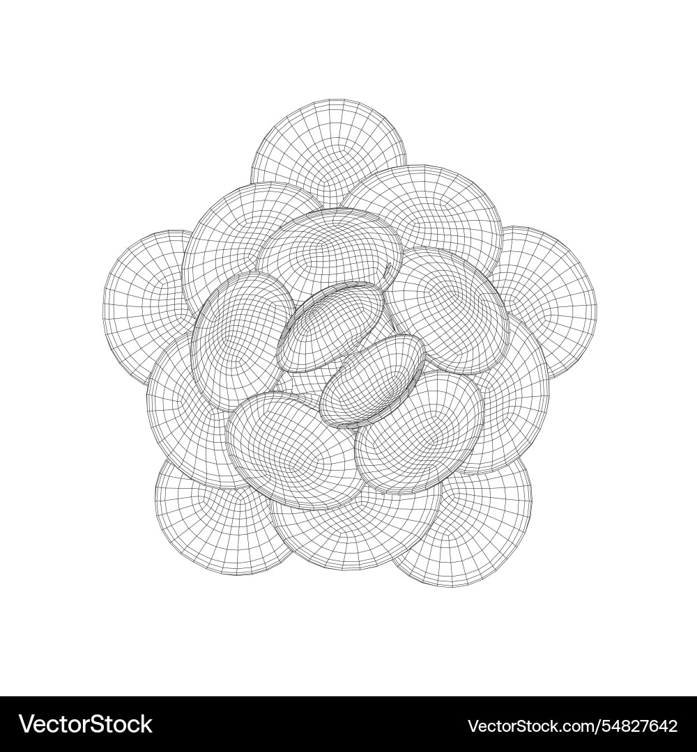 Wireframe of seashells stacked on top each Wireframe of seashells stacked on top each Vector Image