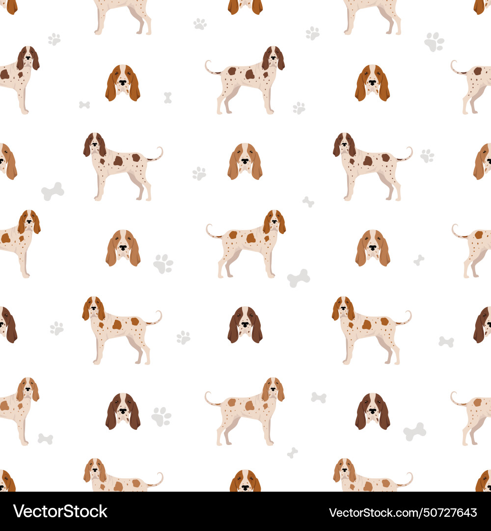 Italian pointer seamless pattern different poses Italian pointer seamless pattern different poses vector image