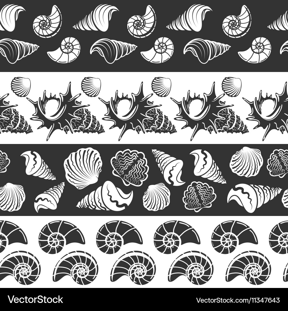 Seashell Border Pattern vector image