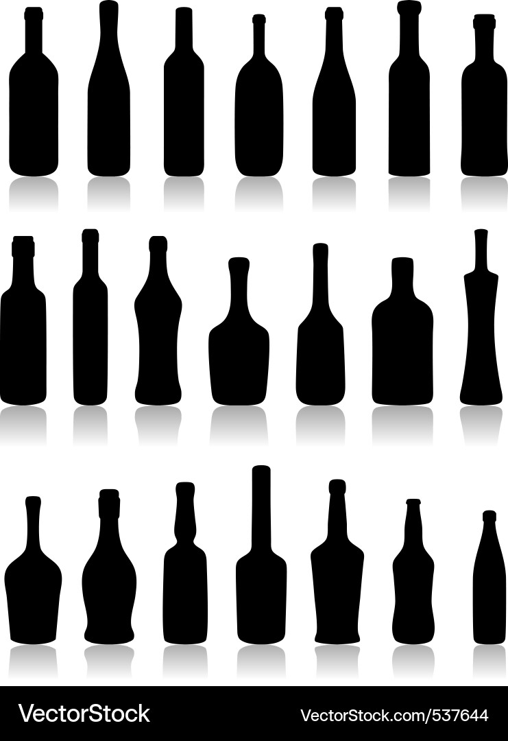 Collection of Glass Bottles vector image
