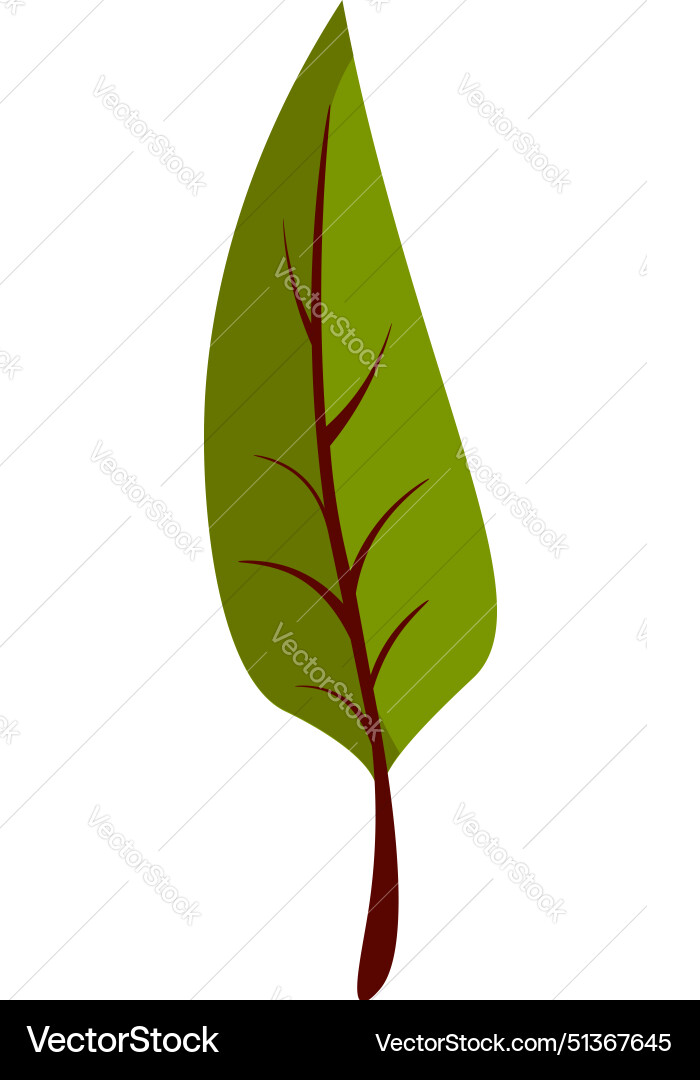 Green leaf on white background Royalty Free Vector Image