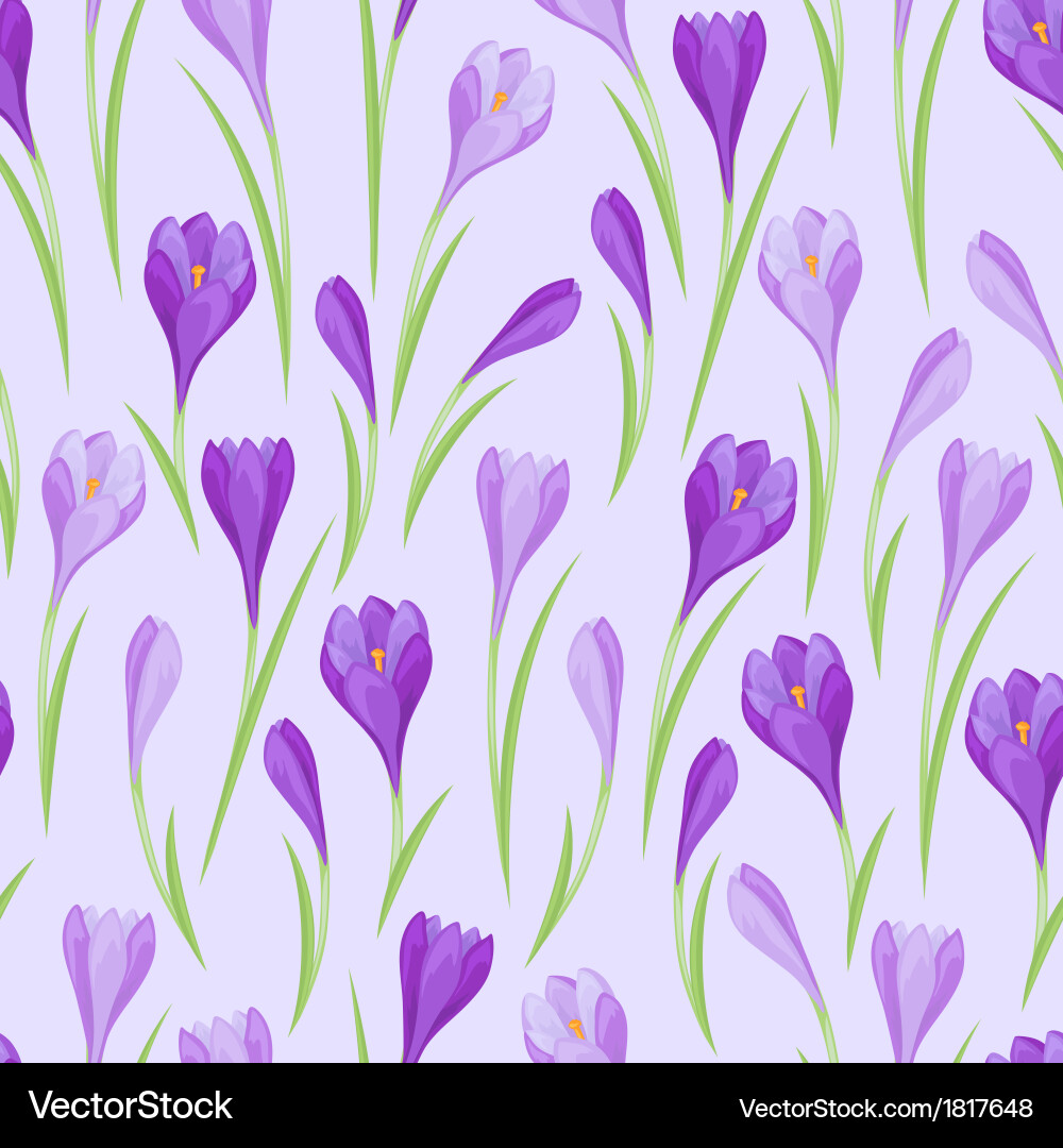 Spring Crocus Floral Pattern Vector Image