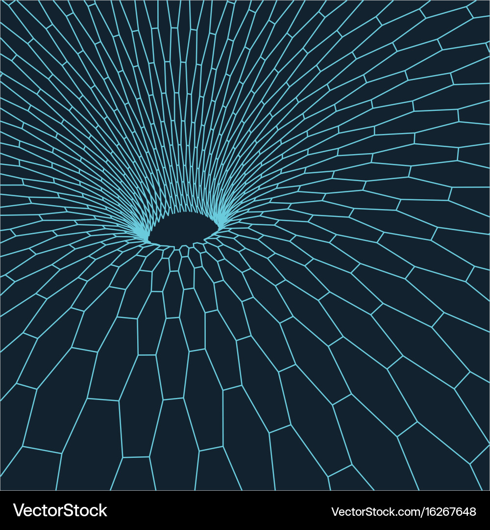 Wireframe torus with connected lines and dots vector image