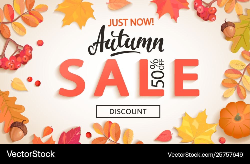 Autumn Sale Banner - Discount Leaves Vector Image