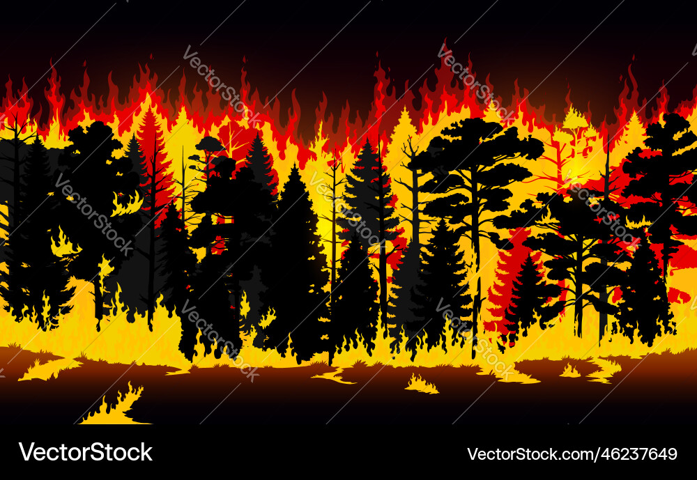 Forest fire burning trees and grass wildfire Forest fire burning trees and grass wildfire vector image