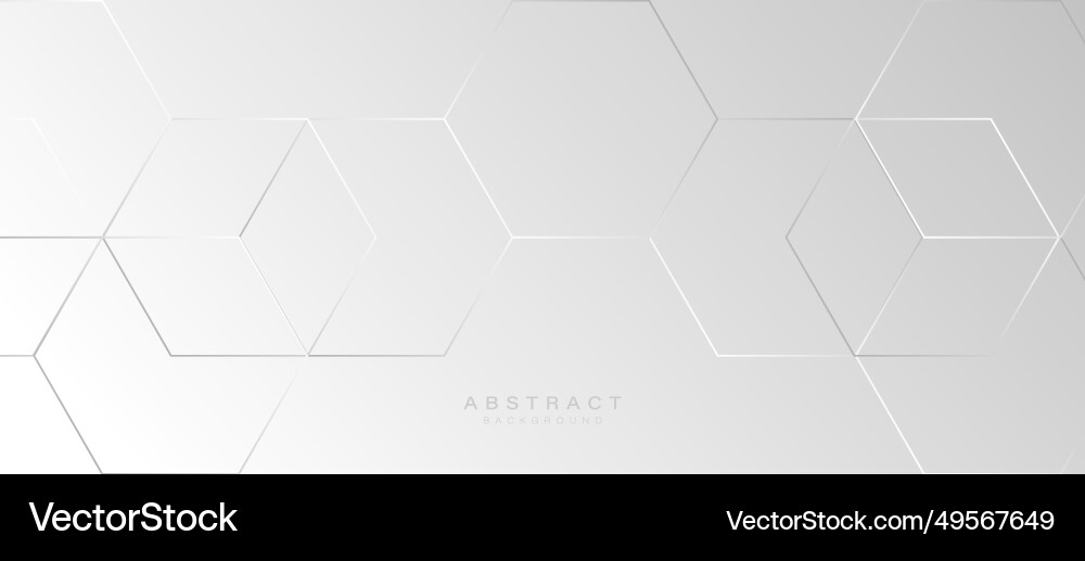 Modern abstract white hexagonal background Modern abstract white hexagonal background vector image