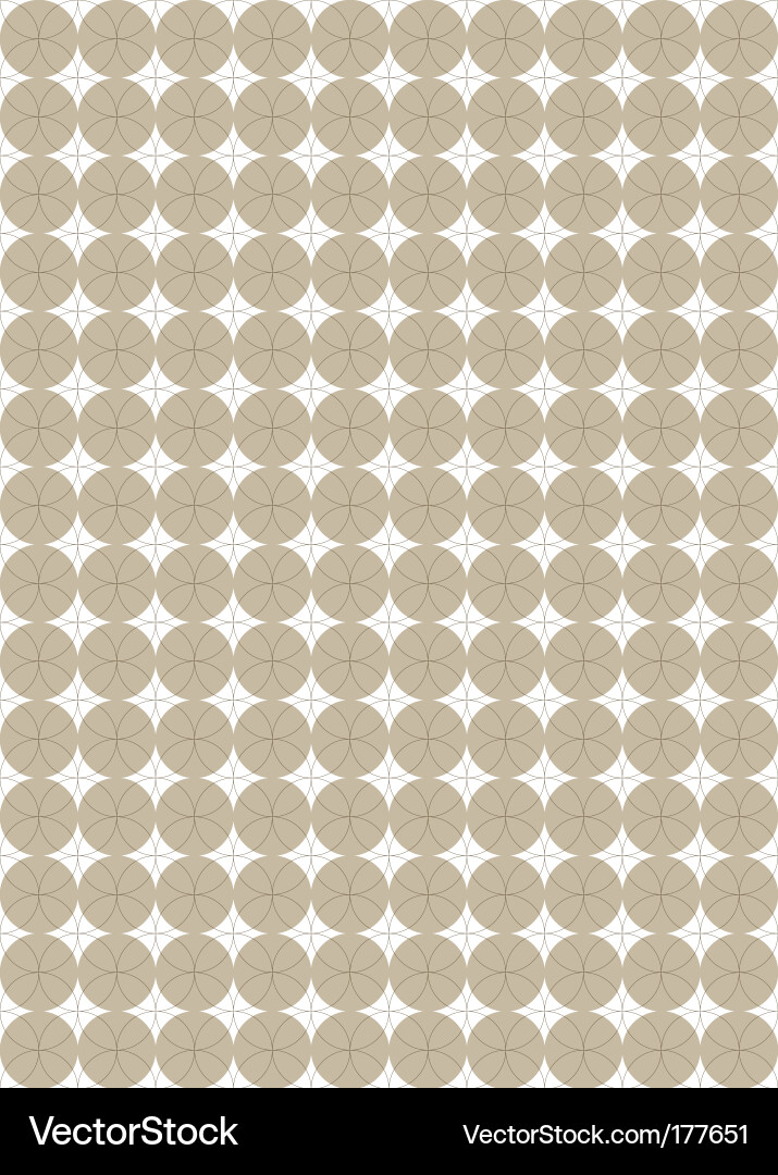Elegant Circle Pattern vector image