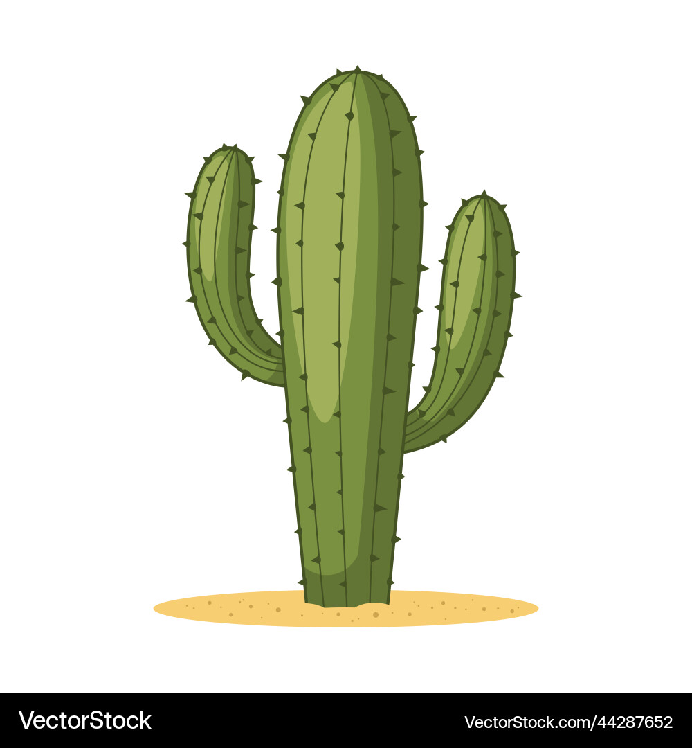 Cactus vector image