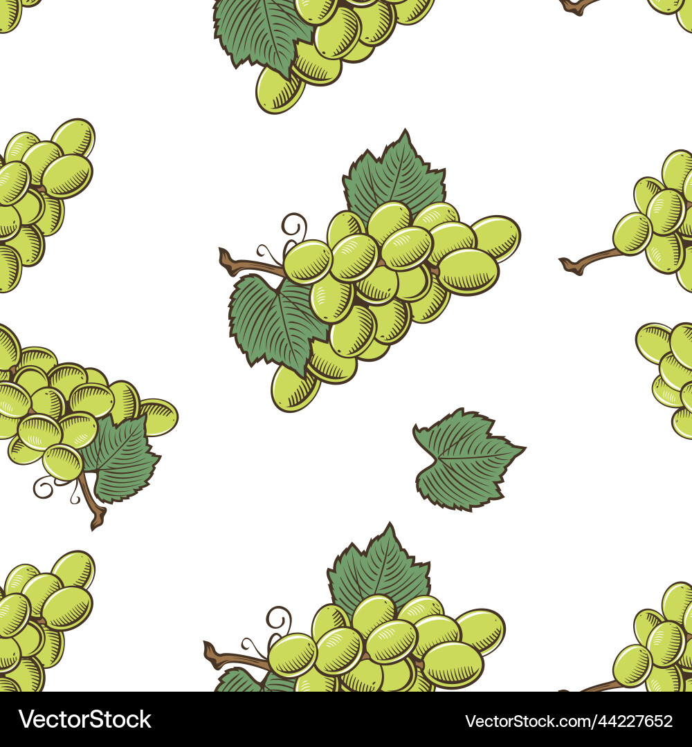 Colored seamless pattern with green grapes Colored seamless pattern with green grapes vector image